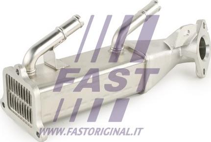 Fast FT60411 - Radiators, Izplūdes gāzu recirkulācija ps1.lv