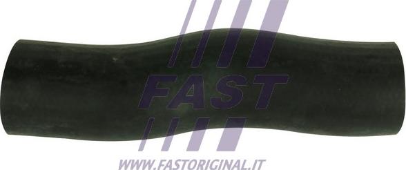 Fast FT61785 - Pūtes sistēmas gaisa caurule ps1.lv