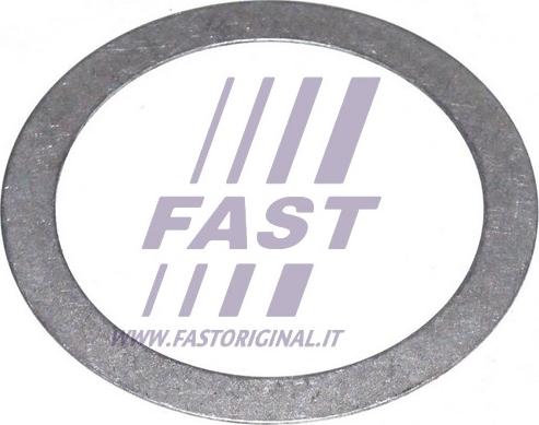 Fast FT62442 - Atbalstplāksne, Piedziņas vārpstas atloks ps1.lv