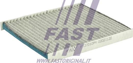 Fast FT37310PM - Filtrs, Salona telpas gaiss ps1.lv