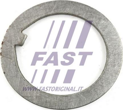 Fast FT26038 - Atbalstplāksne, Piedziņas vārpstas atloks ps1.lv