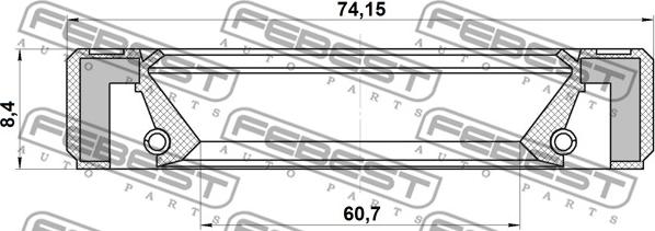 Febest 95GBY-62740808R - Vārpstas blīvgredzens, Piedziņas vārpsta ps1.lv