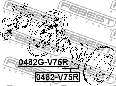 Febest 0482G-V75R - Riteņa rumba ps1.lv