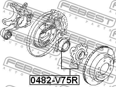 Febest 0482-V75R - Riteņa rumba ps1.lv