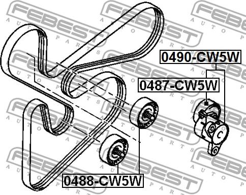 Febest 0487-CW5W - Parazīt / Vadrullītis, Ķīļrievu siksna ps1.lv