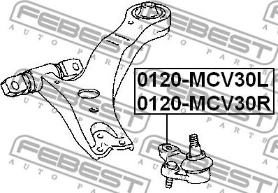 Febest 0120-MCV30R - Balst / Virzošais šarnīrs ps1.lv