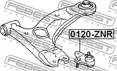 Febest 0120-ZNR - Balst / Virzošais šarnīrs ps1.lv