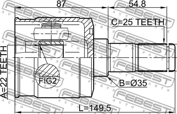 Febest 1211-CM10R - Šarnīru komplekts, Piedziņas vārpsta ps1.lv