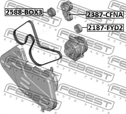 Febest 2588-BOX3 - Parazīt / Vadrullītis, Ķīļrievu siksna ps1.lv