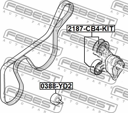 Febest 2187-CB4-KIT - Parazīt / Vadrullītis, Ķīļrievu siksna ps1.lv