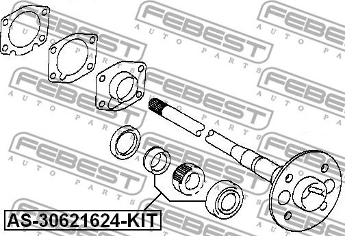 Febest AS-30621624-KIT - Gultnis, Piedziņas vārpsta ps1.lv