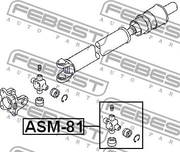 Febest ASM-81 - Šarnīrs, Garenvārpsta ps1.lv