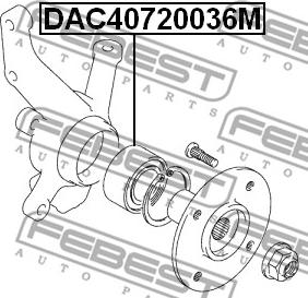 Febest DAC40720036M - Riteņa rumbas gultnis ps1.lv