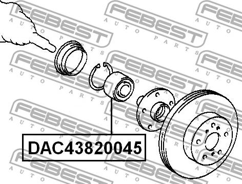 Febest DAC43820045 - Riteņa rumbas gultnis ps1.lv