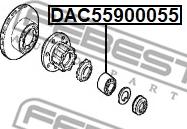 Febest DAC55900055 - Riteņa rumbas gultnis ps1.lv