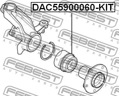 Febest DAC55900060-KIT - Riteņa rumbas gultņa komplekts ps1.lv