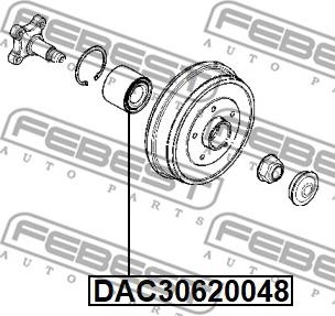 Febest DAC30620048 - Riteņa rumbas gultnis ps1.lv