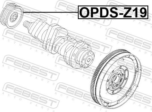 Febest OPDS-Z19 - Piedziņas skriemelis, Kloķvārpsta ps1.lv