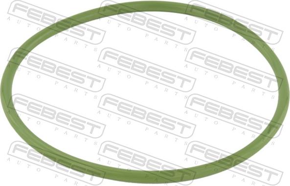 Febest RINGFL037 - Blīve, Degvielas daudzuma devējs ps1.lv