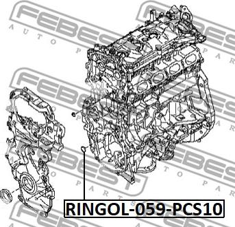 Febest RINGOL-059-PCS10 - Blīve, Eļļas sūknis ps1.lv