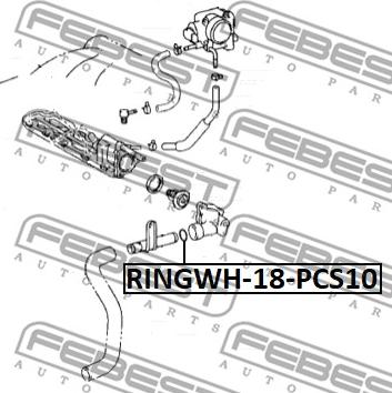 Febest RINGWH-018-PCS10 - Blīve, Dzesēšanas šķidruma flancis ps1.lv