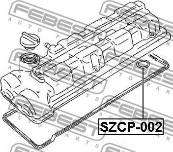 Febest SZCP-002 - Blīvgredzens, Sveces kanāls ps1.lv