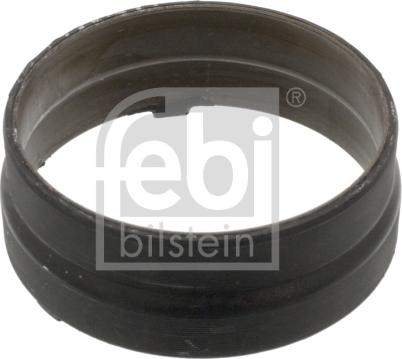 Febi Bilstein 46015 - Blīve, Diferenciālis ps1.lv