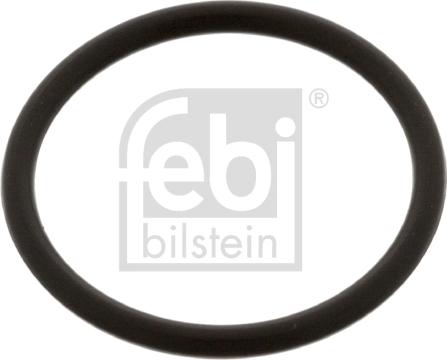 Febi Bilstein 48674 - Siltumizolācijas paplāksne, Iesmidzināšanas sistēma ps1.lv