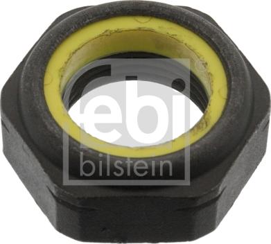 Febi Bilstein 06243 - Uzgrieznis, Ass kakliņš ps1.lv