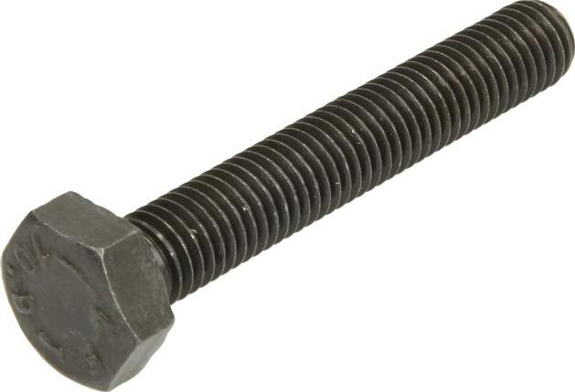 FEBI Bilstein 18160 - Skrūve, Gultņa korpuss-Kloķvārpsta ps1.lv