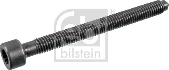 Febi Bilstein 176311 - Skrūve, Sprauslas korpuss ps1.lv