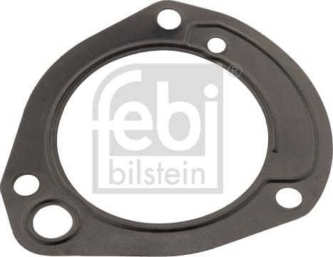 Febi Bilstein 171325 - Blīve, Degvielas sūknis ps1.lv