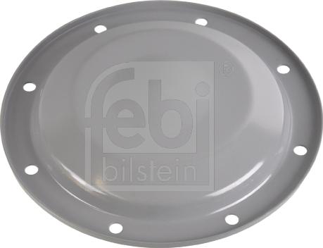 Febi Bilstein 171252 - Vāks, Riteņa rumbas gultnis ps1.lv