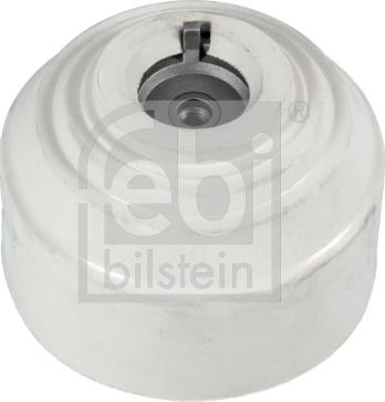 Febi Bilstein 17748 - Piekare, Dzinējs ps1.lv