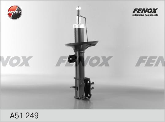 Fenox A51249 - Amortizators ps1.lv