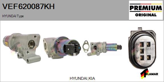 FLAMAR VEF620087KH - Izpl. gāzu recirkulācijas vārsts ps1.lv