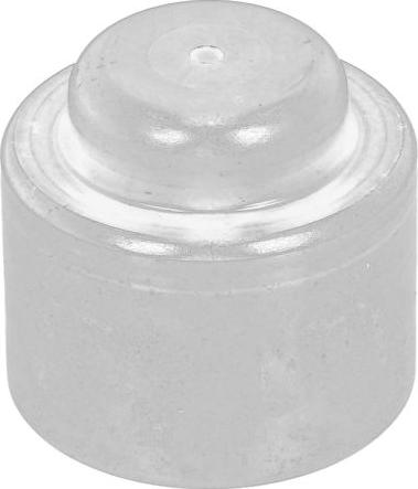 FORD 1096277 - Centrējošais gultnis, Sajūgs ps1.lv