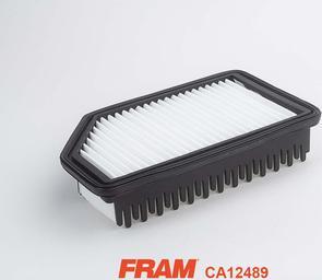 FRAM CA12489 - Gaisa filtrs ps1.lv