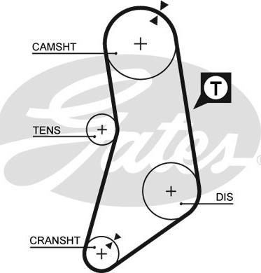 Gates 5041 - Zobsiksna ps1.lv