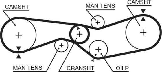 GATES 5009 - Zobsiksna ps1.lv