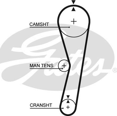 Gates 5024 - Zobsiksna ps1.lv