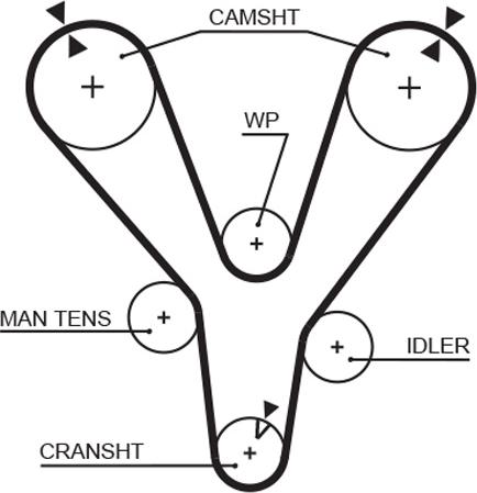 GATES 1555RM - Zobsiksna ps1.lv