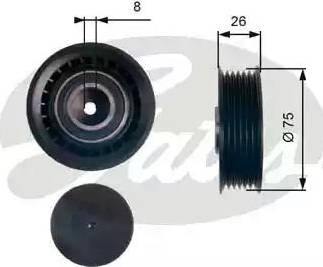 Gates T39144 - Parazīt / Vadrullītis, Ķīļrievu siksna ps1.lv