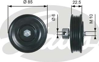 Gates T39286 - Parazīt / Vadrullītis, Ķīļrievu siksna ps1.lv