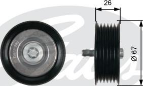 Gates T36438 - Parazīt / Vadrullītis, Ķīļrievu siksna ps1.lv