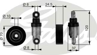 Gates T38244 - Parazīt / Vadrullītis, Ķīļrievu siksna ps1.lv