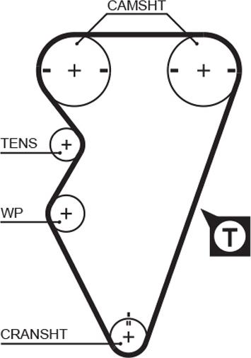 GATES-AU T613 - Zobsiksna ps1.lv