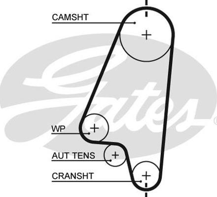 GATES-AU T203 - Zobsiksna ps1.lv