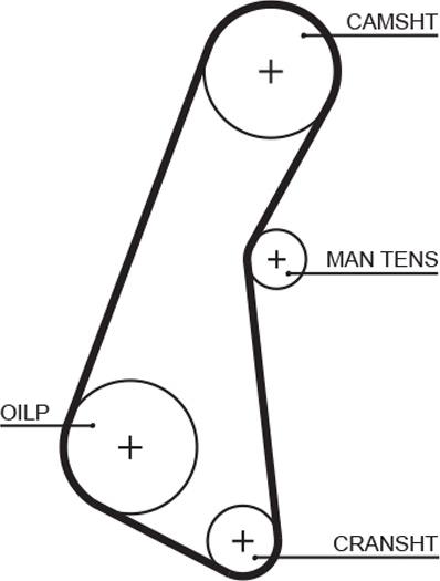 GATES-AU T121 - Zobsiksna ps1.lv