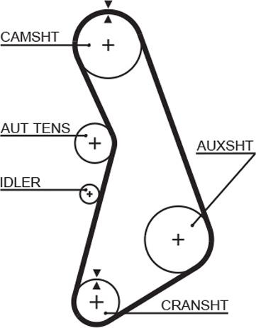 GATES-AU T291 - Zobsiksna ps1.lv